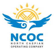 Результаты деятельности компании NCOC за 2022 год