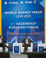 Мировые энергетические лидеры говорили об энергопереходе и углеродной нейтральности