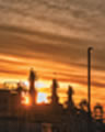 Oil Chronicles Oil Chronicles