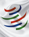 How to live with the WTO How to live with the WTO