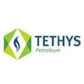 Tethys Petroleum. Completion of Private Placements