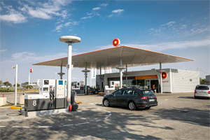 Фото Алмаза Толеке
