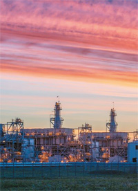 Petroleum