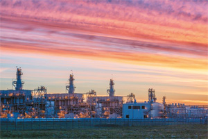 Petroleum