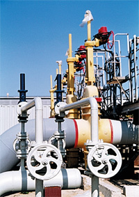 Petroleum