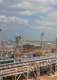 Petroleum
