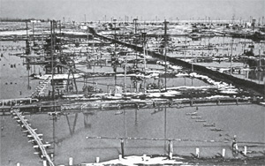 110 Years of the Dossor Field