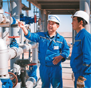 Petroleum