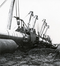 Petroleum