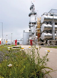 Petroleum