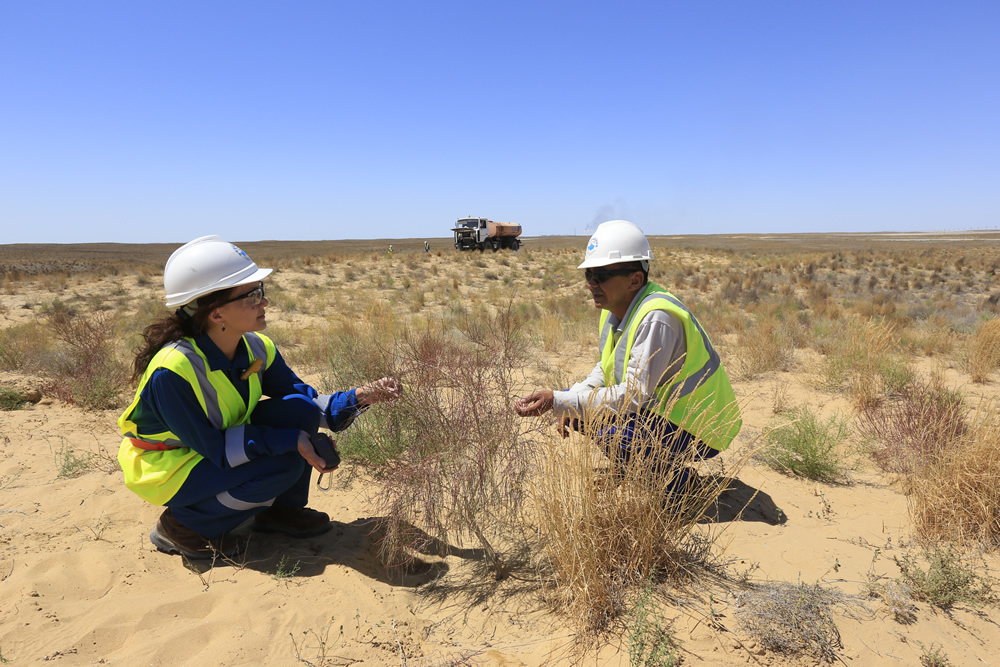 TCO environmental projects: rational use water resources, waste management, care for birds and seals