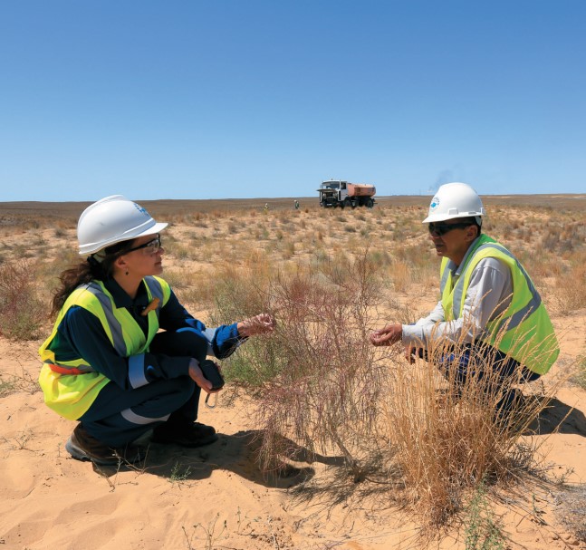 TCO Environmental Projects: Rational Use of Water Resources, Waste Management, Care for Birds and Seals