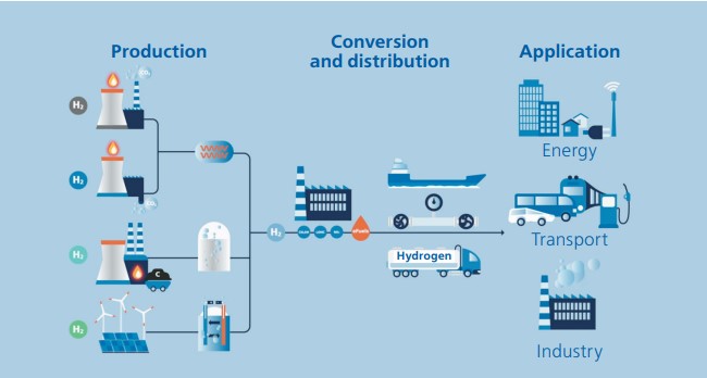 A multi-vector path to a sustainable hydrogen economy