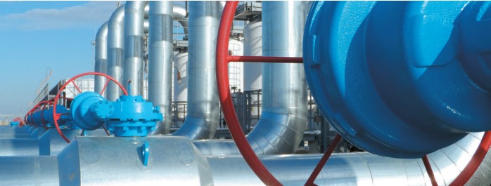 Gas and Petrochemicals in Kazakhstan. Experts Weigh In