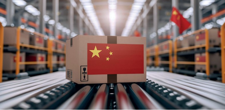 The Chinese Puzzle. How to verify a Chinese supplier of industrial equipment: a checklist