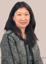 Granting Preferences to Kazakhstani Legal Entities in Connection With Their Investments in Kazakhstan