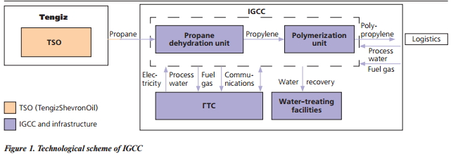 Beginning of the Domestic Petrochemistry