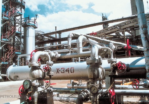 Eurasian Economic Union. Risks and Opportunities for Kazakhstan