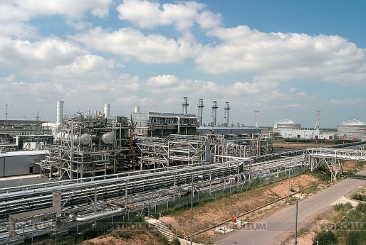Eurasian Economic Union. Risks and Opportunities for Kazakhstan