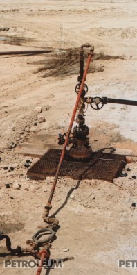 Инновационные технологии увеличения нефтегазоотдачи на месторождениях Республики Казахстан