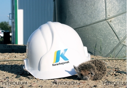 «Зеленые» инициативы КПО