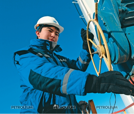 WTO will Cancel Kazakhstani Content