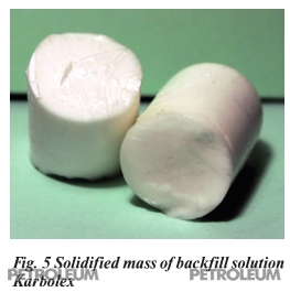 Fig. 5 Solidified mass of backfill solution
Karbolex